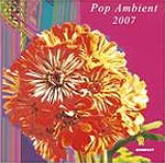 V.A. / Pop Ambience 2007