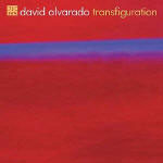 David Alvarado / Transfiguration