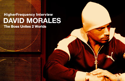 David Morales