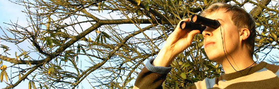 Dominik Eulberg Interview