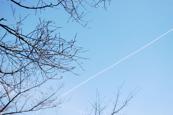 Hiroshi Watanabe Interview