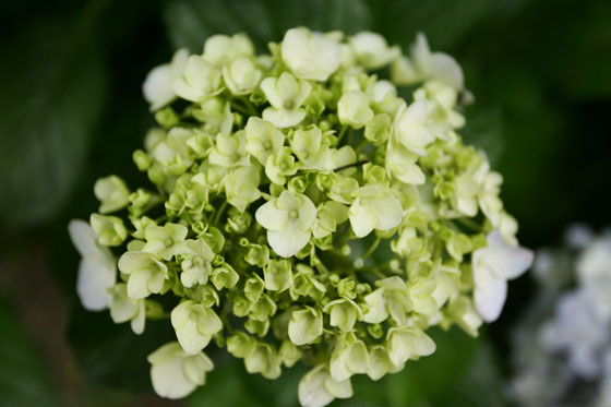 Hiroshi Watanabe Interview