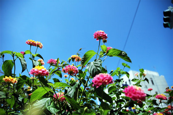 Hiroshi Watanabe Interview