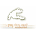 Grayhound