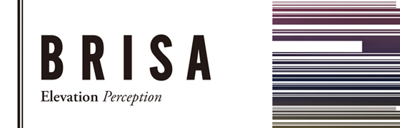 BRISA
