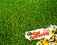 Global Gathering