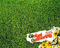 Global Gathering