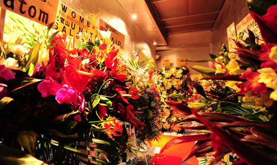 HigterFrequency p[eB[|[g