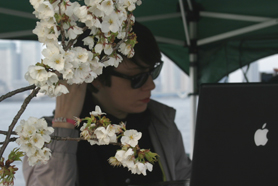 HigterFrequency p[eB[|[g