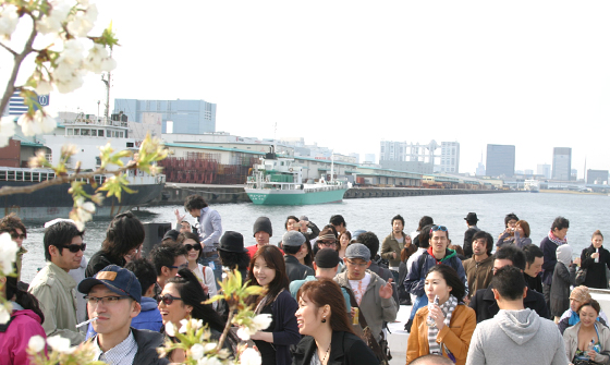 HigterFrequency p[eB[|[g