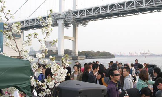 HigterFrequency p[eB[|[g