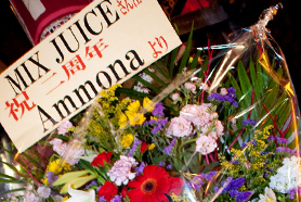 HigterFrequency p[eB[|[g