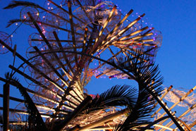 HigterFrequency p[eB[|[g