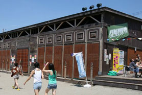 HigterFrequency p[eB[|[g