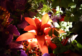 HigterFrequency p[eB[|[g