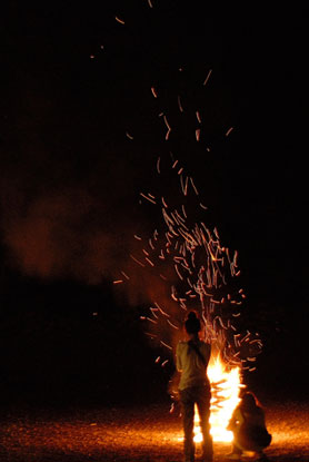 HigterFrequency p[eB[|[g