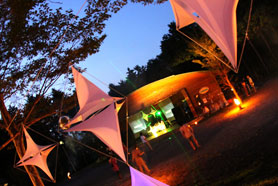 HigterFrequency p[eB[|[g