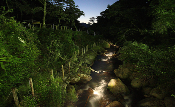 HigterFrequency p[eB[|[g