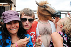 HigterFrequency p[eB[|[g