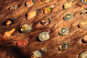 HigterFrequency p[eB[|[g