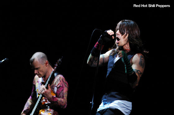 FUJI ROCK FESTIVAL 2005