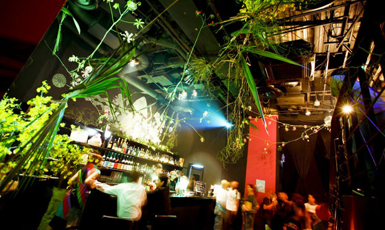 HigterFrequency p[eB[|[g