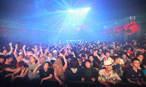 HigterFrequency p[eB[|[g