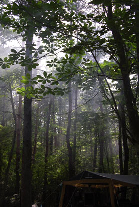 HigterFrequency p[eB[|[g