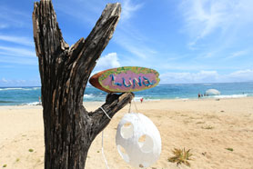 HigterFrequency p[eB[|[g