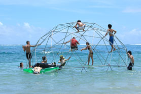 HigterFrequency p[eB[|[g