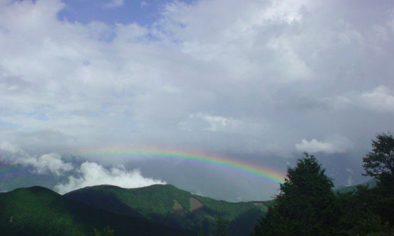 HigterFrequency p[eB[|[g