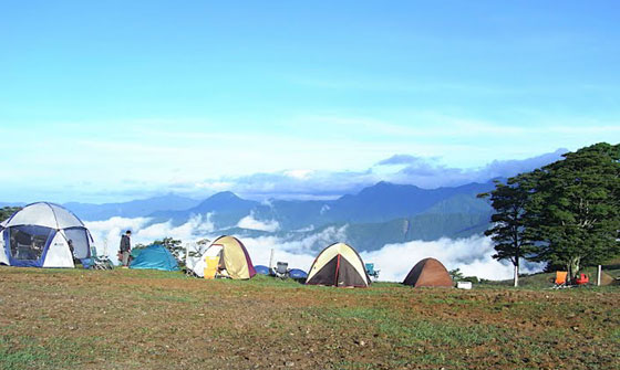 HigterFrequency p[eB[|[g