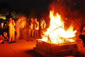 HigterFrequency p[eB[|[g