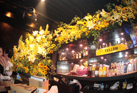 HigterFrequency p[eB[|[g