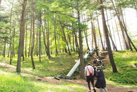 HigterFrequency p[eB[|[g