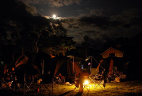 HigterFrequency p[eB[|[g