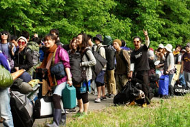 HigterFrequency p[eB[|[g