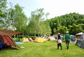 HigterFrequency p[eB[|[g