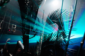 HigterFrequency p[eB[|[g