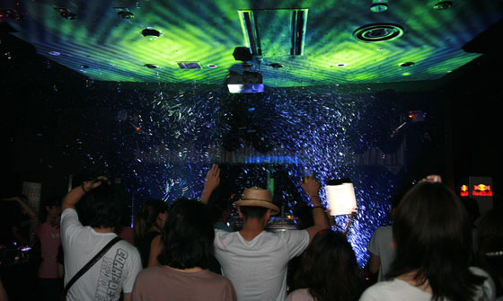 HigterFrequency p[eB[|[g