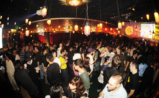 HigterFrequency p[eB[|[g