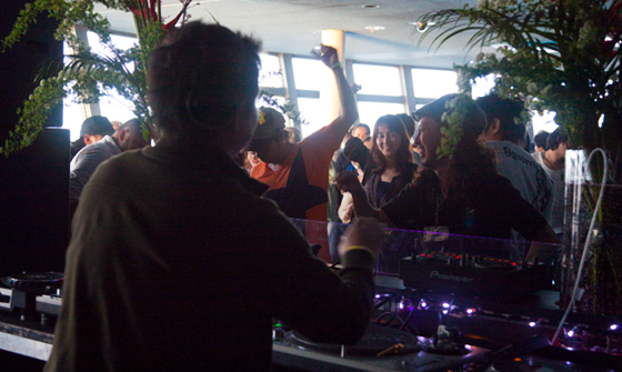 HigterFrequency p[eB[|[g