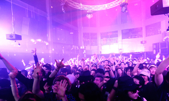 HigterFrequency p[eB[|[g