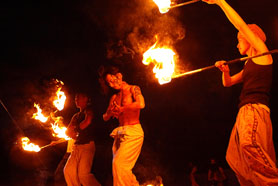 HigterFrequency p[eB[|[g