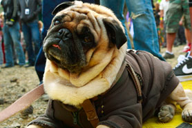 HigterFrequency p[eB[|[g