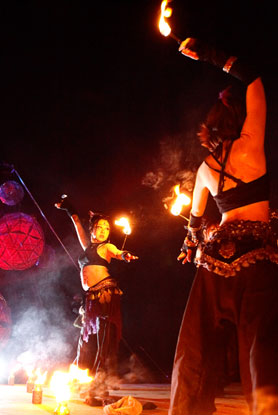 HigterFrequency p[eB[|[g