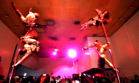 HigterFrequency p[eB[|[g