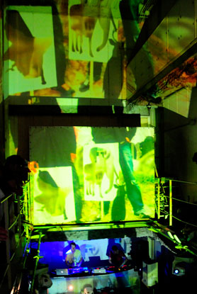 HigterFrequency p[eB[|[g