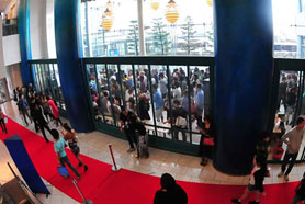 HigterFrequency p[eB[|[g