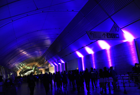 HigterFrequency p[eB[|[g